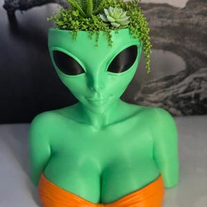 May include: A green alien head-shaped planter with large black eyes and an orange bikini top. The planter is filled with various green succulents and plants. The alien has a smiling expression.