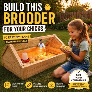 May include: A wooden brooder for chicks, with the text "BUILD THIS BROODER FOR YOUR CHICKS". The brooder has a wire mesh top, a heat lamp, and a water dispenser. A young person is holding two chicks. The image also includes the text "EASY DIY PLANS BEGINNER FRIENDLY".