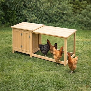 May include: A wooden chicken coop with a hinged roof and wire mesh sides. Several chickens with brown and black feathers are inside and outside the coop, standing on green grass. The coop has a small enclosed area with a door.