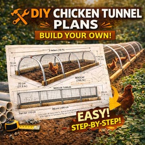Puede incluir: Planos de túnel para pollos con el texto "¡Construye el tuyo propio!" El plano muestra las dimensiones en metros y centímetros. La imagen incluye un dibujo de un túnel para pollos, con una gallina real cerca. Las palabras "¡Fácil! Paso a paso!" también son visibles.