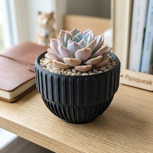 Puede incluir: Una maceta redonda negra y texturizada con una planta suculenta. La suculenta tiene hojas de color verde pálido y rosa y se asienta sobre pequeñas piedras. La maceta está sobre una superficie de madera, con un cuaderno y objetos decorativos en el fondo.