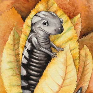 Marbled Salamander with Hickory Leaves, 11&quot;x14&quot; Giclee Print of my original watercolor painting
