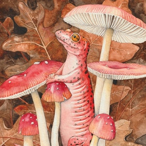 Red Salamander with False Caesar Mushroom, giclee of my original watercolor painting