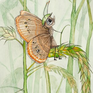 Satyre de Saint-François sur le carex de Mitchell, carte pour notes de 5 x 7 po. de ma peinture aquarelle originale
