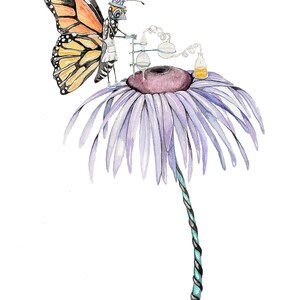 Monarque polléniste, carte de correspondance de 5 x 7 po. de ma peinture aquarelle originale