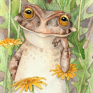 The Southern Toad, giclee print of my original watercolor painting of a Southern Toad with Dwarf Dandelions