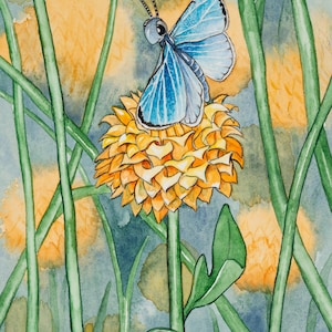Houx azur sur tourbière Cheeto, 5 x 7 po. Carte de correspondance de ma peinture aquarelle originale