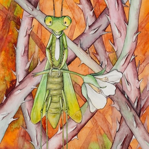 ブラックラズベリーの茎に止まったカロライナカマキリ、私のオリジナル水彩画の 5"x7" ノートカード