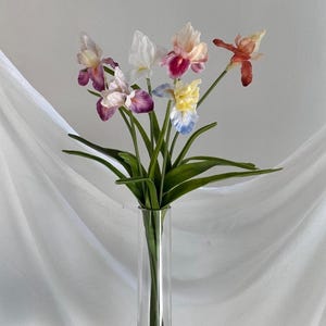 Può includere: Un bouquet di fiori di iris artificiali in un vaso cilindrico alto in vetro trasparente. I fiori presentano petali nelle tonalità del bianco, viola, giallo e marrone rossastro, sostenuti da lunghi steli verdi sottili e foglie verdi appuntite.