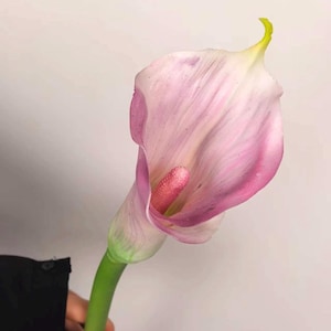 Faux Calla Lily for Bridal Shower, Faux lily of the valley, Calla Lily Bouquets, Wedding Ceremony Aisle Flower for Bride CL01 image 5
