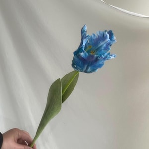 Fake parrot tulip flower,artificial tulips stems, Real touch tulip,fake flower arrangements,fake tulip for Mothers Day gift Blue