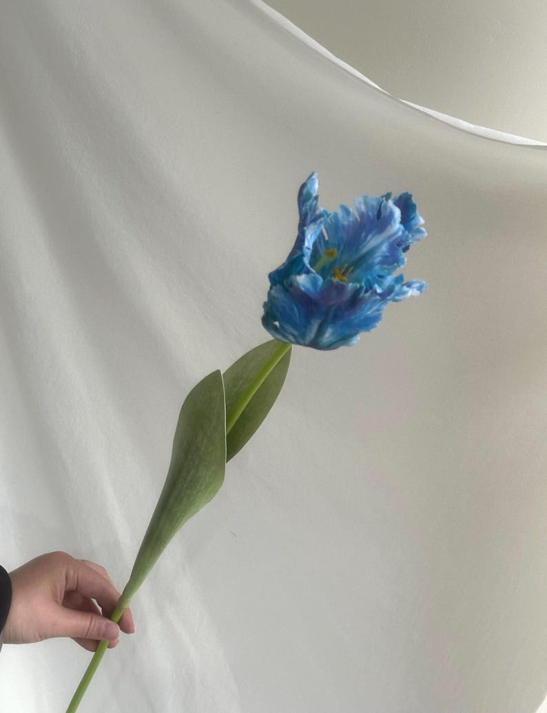 Fake parrot tulip flower,artificial tulips stems, Real touch tulip,fake flower arrangements,fake tulip for Mothers Day gift Blue
