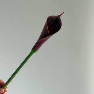 Faux Calla Lily for Bridal Shower, Faux lily of the valley, Calla Lily Bouquets, Wedding Ceremony Aisle Flower for Bride CL01 Velet