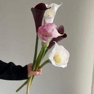 Puede incluir: Una mano sostiene un ramo de calas. El ramo incluye flores blancas, rosas y moradas oscuras con tallos verdes. Las flores están en plena floración, mostrando su elegante forma de trompeta.