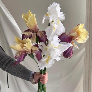 May include: A bouquet of irises in shades of yellow, purple, and white. The flowers are held in a person's hand against a neutral background. The irises have multiple petals and green stems.