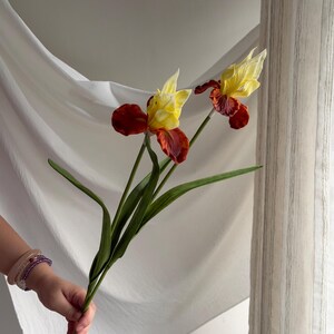 May include: Two artificial iris flowers with yellow and maroon petals and green stems. The flowers are held in a hand, with a white fabric backdrop. The irises have a realistic appearance, with detailed petal textures.