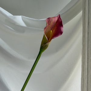 Faux Calla Lily for Bridal Shower, Artificial lily of the valley, Calla Lily Bouquet for Wedding Ceremony Flower CL04 Tan