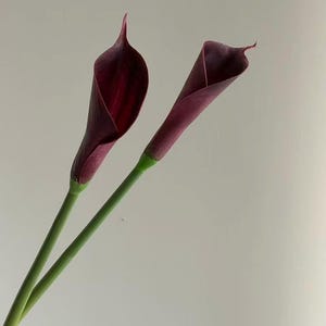 Faux Calla Lily for Bridal Shower, Faux lily of the valley, Calla Lily Bouquets, Wedding Ceremony Aisle Flower for Bride CL01 image 10
