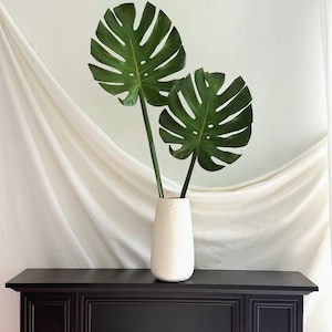 May include: Two large, dark green Monstera leaves with distinct fenestrations and splits are arranged in a tall, off-white, textured cylindrical vase. The vase has a subtle horizontal ribbed pattern across its entire exterior surface.