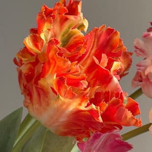 Fake parrot tulip flower,artificial tulips stems, Real touch tulip,fake flower arrangements,fake tulip for Mothers Day gift image 13