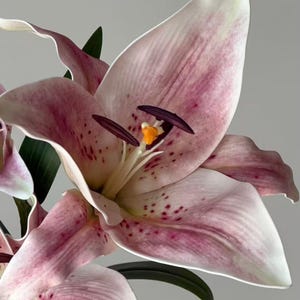 Real Touch Moisturizing Lily Artificial flower Silk Lily Bouquets , Wedding Centerpieces Arrangement, Fake Flower Lily Home Decoration LL01 image 5