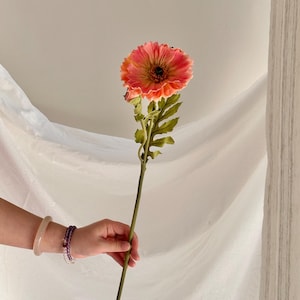 Pode incluir: Uma única margarida gerbera artificial com uma flor vibrante laranja e rosa e um centro escuro. A flor tem folhas verdes e um longo caule verde. A flor é segurada contra um fundo branco.