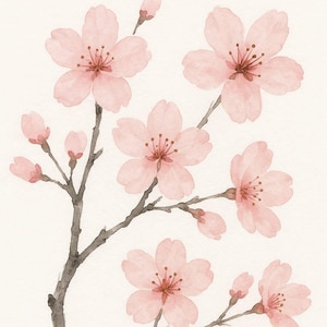 Könnte beinhalten: Aquarellmalerei eines Kirschblütenzweigs mit zarten rosa Blüten und Knospen. Die Blüten haben ein weiches, strukturiertes Aussehen mit dunkleren rosa Zentren. Die Zweige sind ein gedämpftes Graubraun vor weißem Hintergrund.
