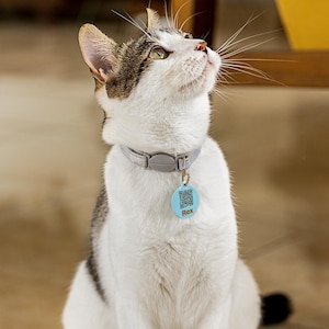 Gepersonaliseerde huisdier-ID-tag | Aangepaste QR-codetag met hondenbot of cirkel