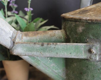 Vintage charmante rustieke groene gieter Cottage Garden