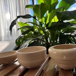 Op de afbeelding: Drie beige keramische kommen van verschillende formaten zijn gerangschikt op een houten oppervlak. De kommen hebben een gladde, glanzende afwerking. Op de achtergrond staat een weelderige groene plant met grote bladeren, met zonlicht dat door een raam filtert.