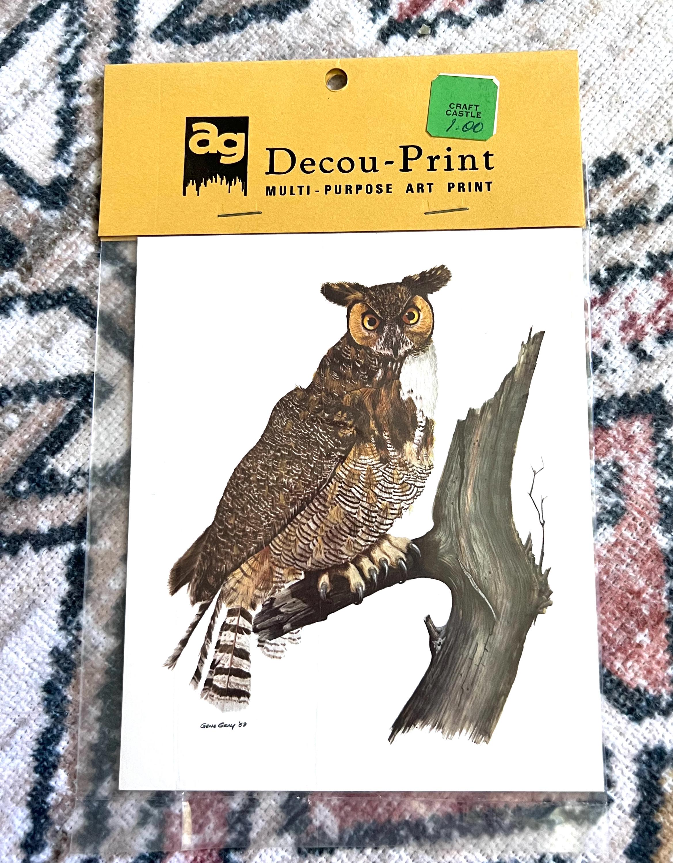 Vintage 1971 Decou-Print Owl on a Branch / Decoupage Art Print Framing Ephemera Journal Scrapbook