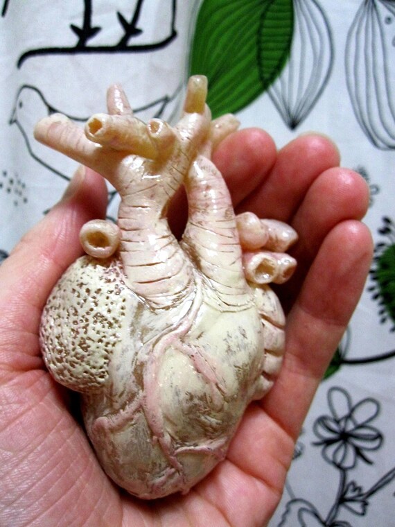 Items similar to Mini Anatomical Heart Sculpture hand sculpted OOAK on Etsy