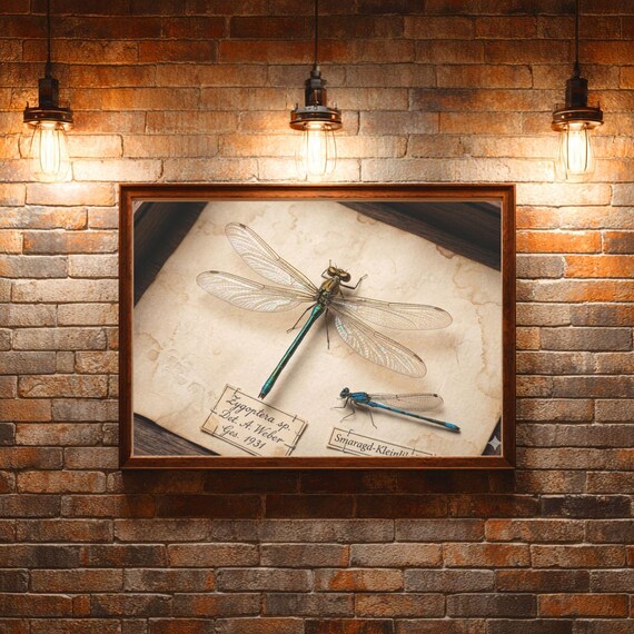 vintage wohnung deko artwork design ideas wall aesthetic prints vintage wall posters print botanical art kunst nature Wohnzimmer Inspiration