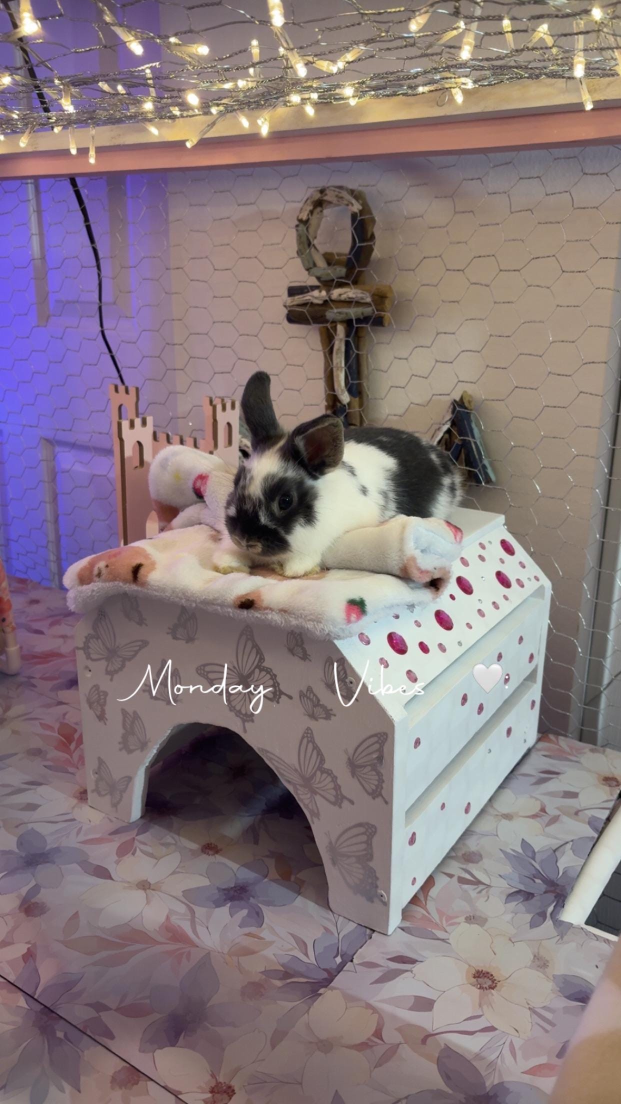 Luxury pet furniture