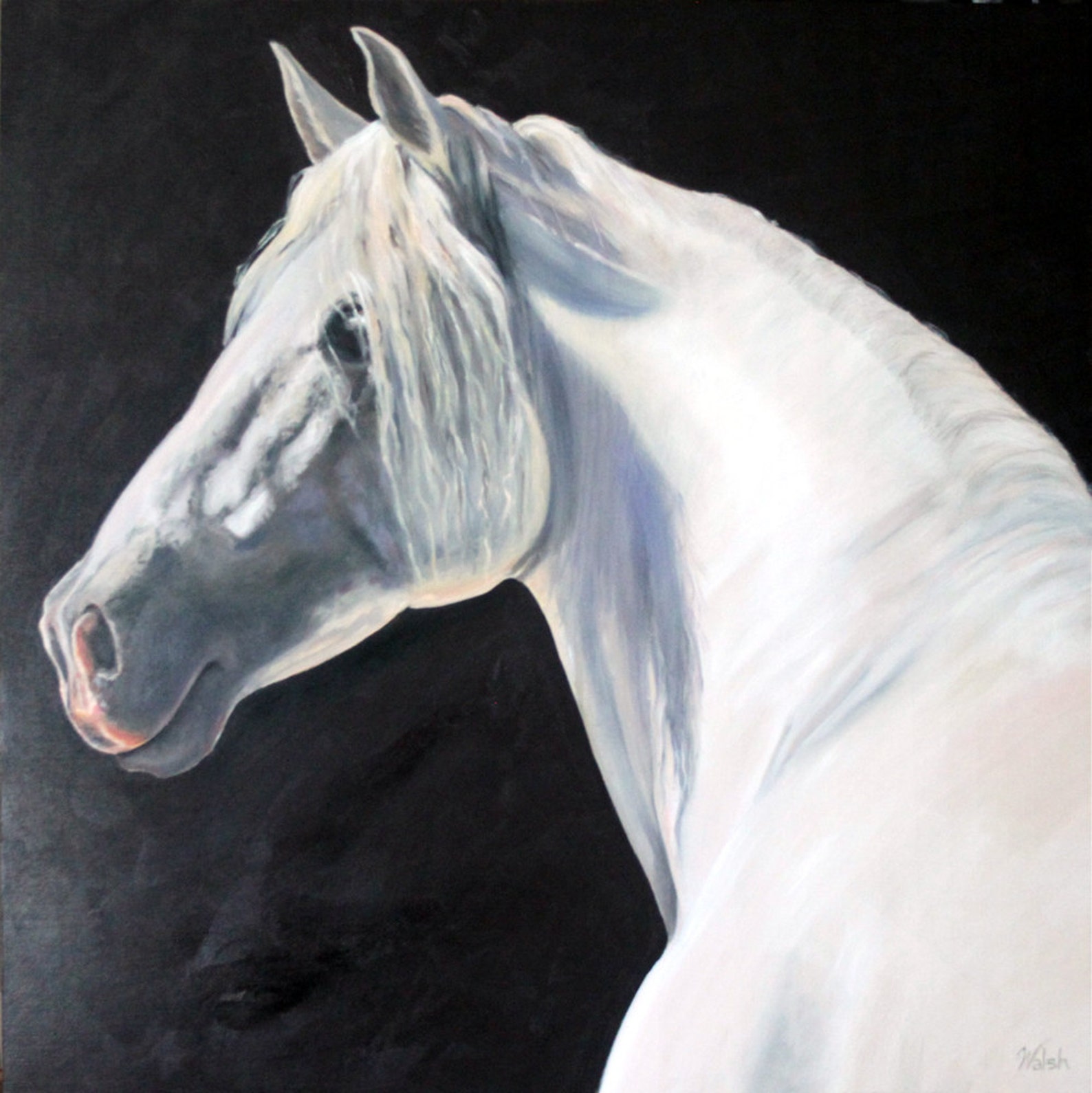 Original Oil Painting White Horse on Black Background andalusian Majesty Etsy