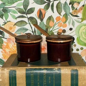 May include: Two small, dark brown ceramic jars with wooden lids and spoons rest on a vintage book. The jars have a glossy finish and are set against a floral wallpaper background with orange and green tones.