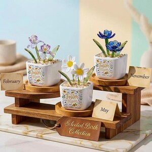 Personalized Foster Mom Glass Birth Month Flower Pot Adoptive Mom Birthday Mini Planter Mother's Day Gift Unbiological Mommy TD-0416-CGLS