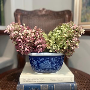 May include: A blue and white hexagonal ceramic planter featuring floral patterns, filled with dried hydrangea blossoms in shades of pink and green. The planter rests on two stacked books titled You: Being Beautiful and L'Echelle.