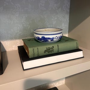 May include: A small, round, white ceramic bowl with a blue dragon pattern around the exterior, resting on a green hardcover book titled The Vanishing Virginian by Williams, which is stacked on top of a larger black hardcover book.