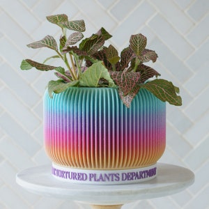 May include: A rainbow-colored planter with a ribbed design, filled with a green plant with pink and green leaves. The planter has a white band around the bottom with the text "Tortured Plants Department" printed in purple.