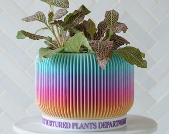 Tortured Plants Department Rainbow Planter