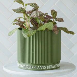 May include: A green ribbed planter with the text "Tortured Plants Department" on the bottom. A houseplant with pink and green leaves is growing in the planter.