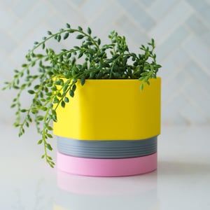 May include: A yellow, gray, and pink hexagonal planter with a green succulent plant.