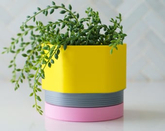 Pencil Planter | Gift for teacher | Back to school | Teacher Appreciation 2025
