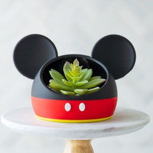 May include: A black and red Mickey Mouse-shaped planter with a green succulent plant inside. The planter has two white circles on the front.