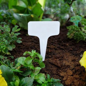 Puede incluir: Un marcador de plantas de plástico blanco en forma de T, insertado en tierra oscura. El marcador está rodeado de plantas verdes y follaje, creando un telón de fondo natural. El marcador está en blanco, listo para etiquetar.