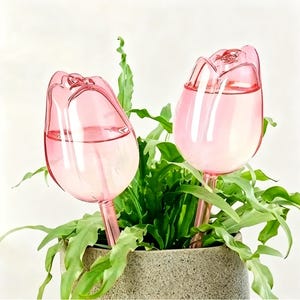 May include: Two pink tulip-shaped glass plant waterers filled with water, inserted into a potted plant with green leaves. The waterers are designed to slowly release water into the soil, providing a decorative and functional way to hydrate plants.