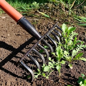 Puede incluir: Un rastrillo de jardín con una cabeza de metal negro y púas curvas, y un mango naranja. El rastrillo está colocado en tierra marrón, con malas hierbas verdes y hierba visibles en el fondo. La herramienta está diseñada para jardinería.