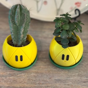 May include: Two small, round, yellow planters with a textured pineapple-like pattern and a simple black face design. Each planter sits on a green saucer. One contains a tall, ribbed green cactus, and the other holds a small, leafy green succulent plant.