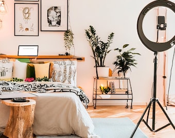 Gen Z bedroom aesthetic — funky posters, LED lights, plants
